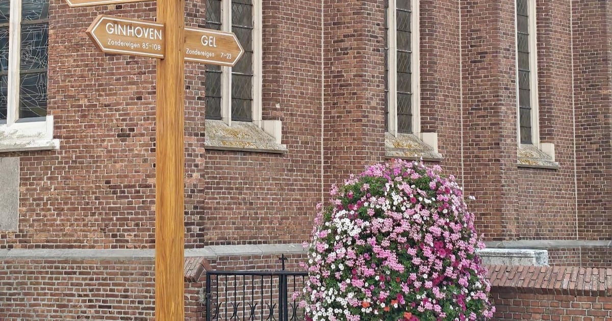 Gemeenteraad op 19 maart: lokaal bestuur wil extra parkeerverbod in Zondereigen