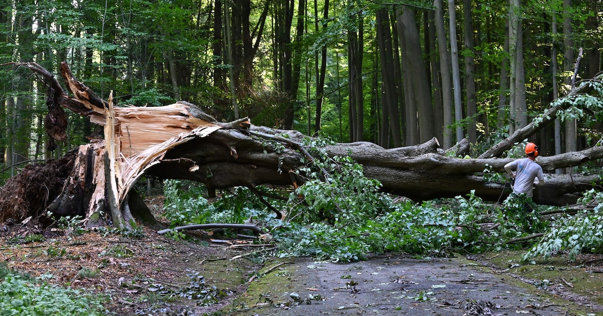 Halle, Beersel en Sint-Pieters-Leeuw zetten zich schrap voor storm