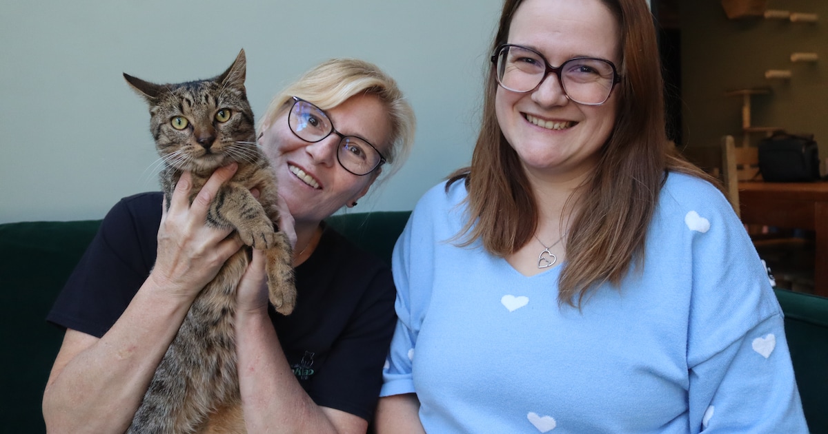 Denia (33) en Silvia (54) openen eerste kattenadoptiecafé in Sint-Niklaas: “Onze dieren hebben al ee