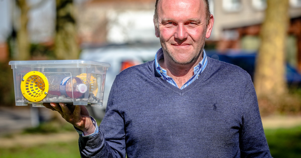 Oudenburg mobiliseert inwoners in strijd tegen Aziatische hoornaar: “Het is een gedeelde verantwoord