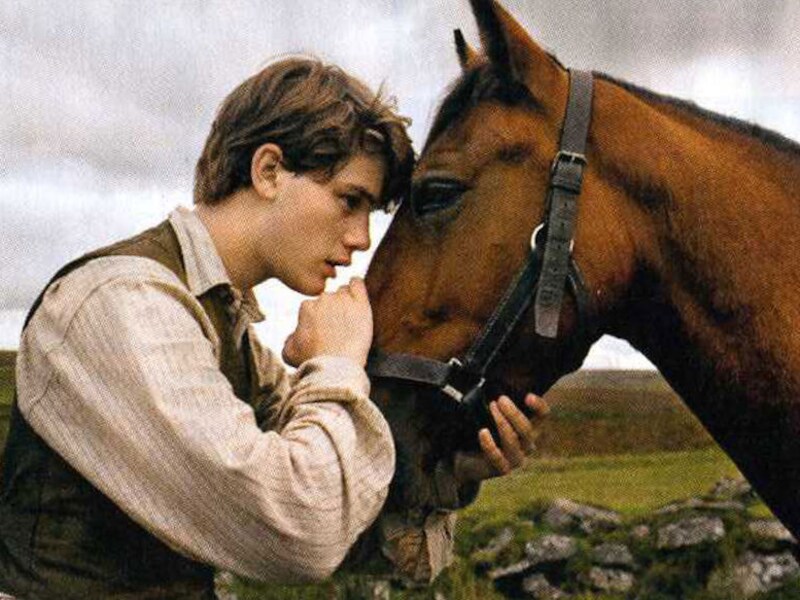 'War Horse' van Steven Spielberg, een van de Angelsaksische liefdesbetuigingen aan het paard.