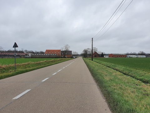 De Bolksedijk in Rijkevorsel, waar het incident zich voordeed.