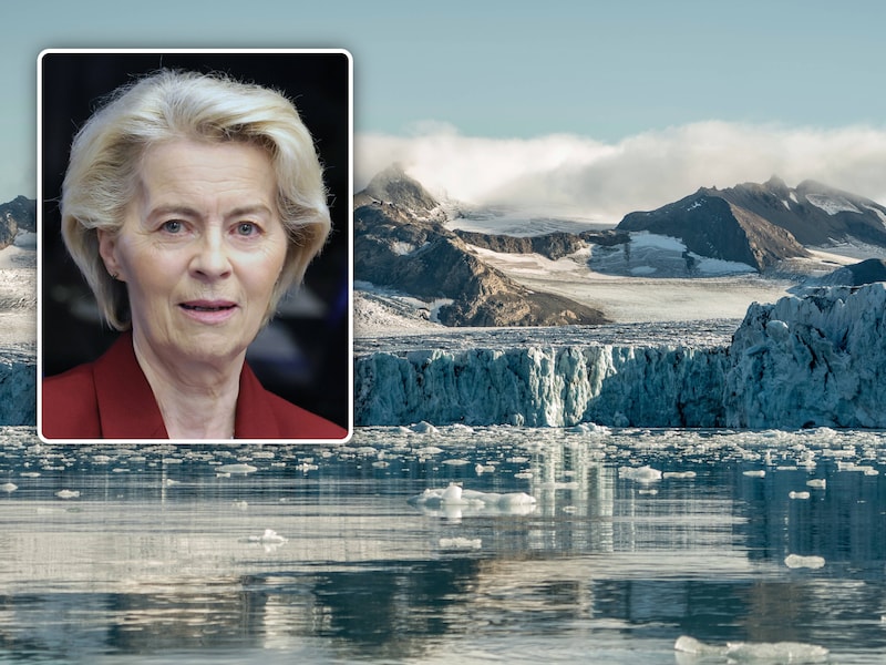 Inzet: Ursula von der Leyen, voorzitter van de Europese Commissie.