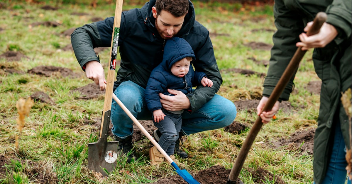 Hasselt viert 30 jaar Geboortebos met feesteditie en 741 nieuwe bomen: “Voor iedereen een stukje toe