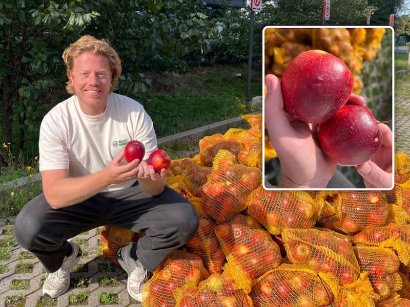 Thomas Schiltz, initiatiefnemer van Waste Warriors., Inzet: De zogenoemde ‘hagelappels’ konden per 5 kg worden gereserveerd.
