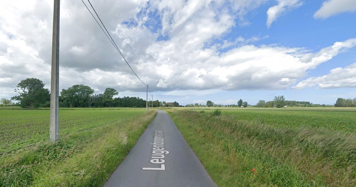 Wagen met vier jongeren belandt op dak in weide na crash in Ichtegem