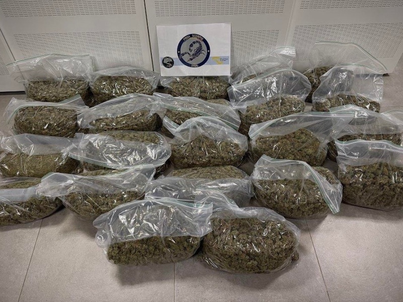 “Eigenlijk vonden we het al een beetje verdacht”: politie leert inwoners signalen van drugslabo’s en cannabisplantages herkennen