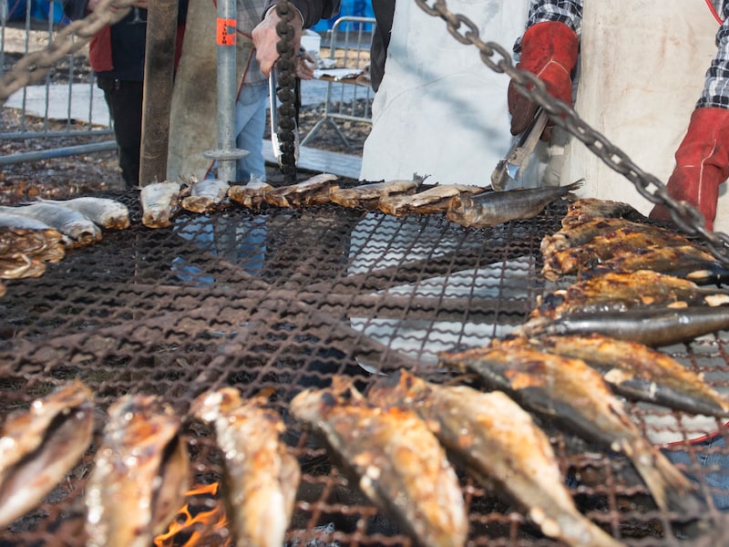 Kom smullen van vers gerookte haring in boomgaard pal in Zoerselbos