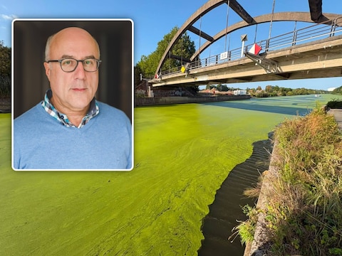 De Leie kleurt al dagen groen. Inzet: José Lecoutere, voorzitter Natuurpunt Wevelgem. 