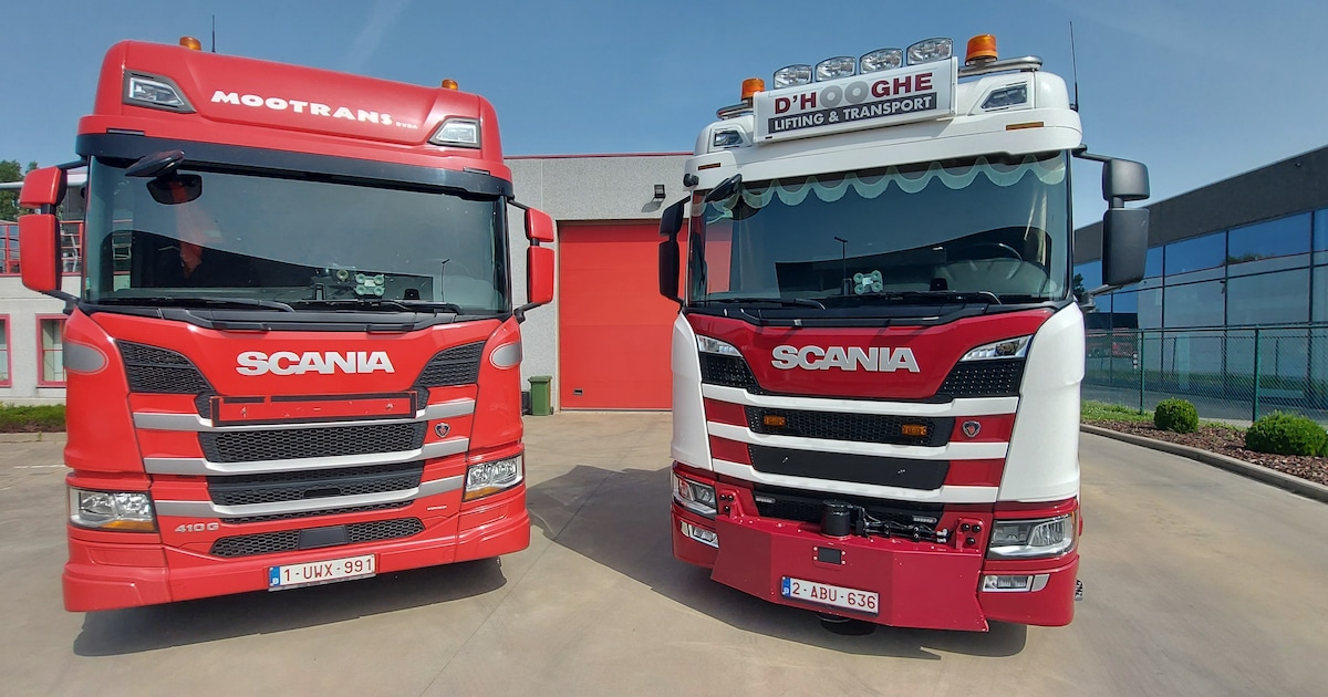 D’hooghe Lifting & Transport neemt Mootrans over | Regio | HLN.be