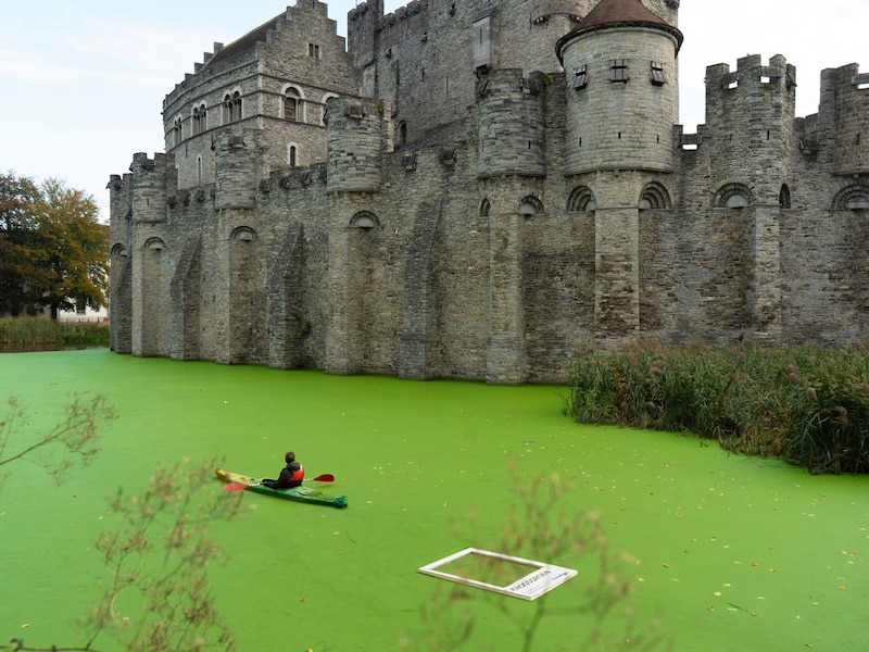 Kroosgroen is goed voor een ludieke reclamestunt in Gent.