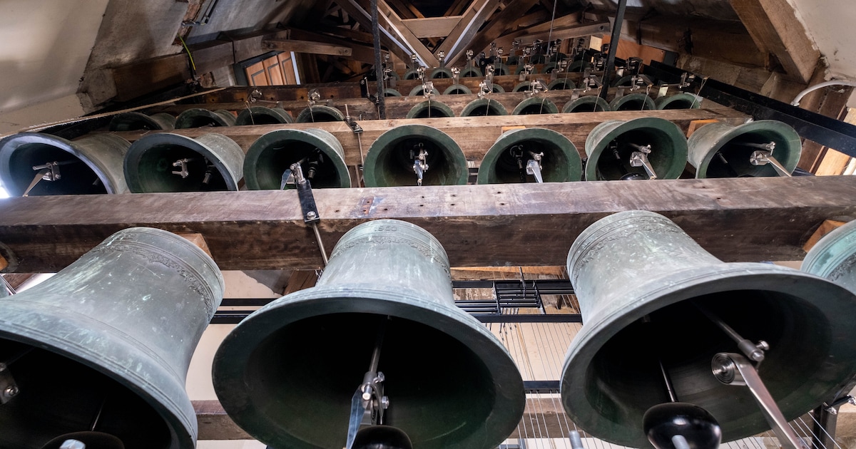 Nieuwe ‘doe-beiaard’ laat Mechelse leerlingen creatief kennismaken met beiaardcultuur