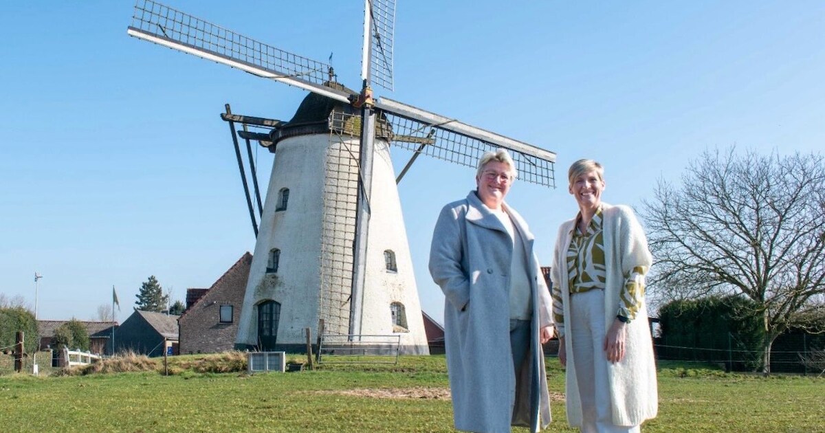 Vlaamse regering investeert in renovatie van molen Ter Rijst | Herzele ...