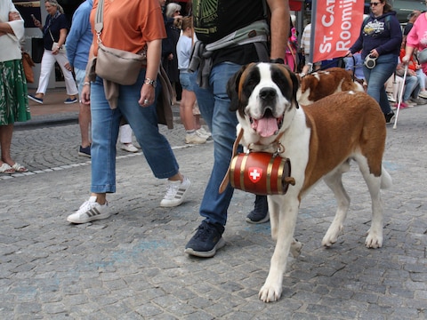 Sint-Bernardusfeesten in Nieuwpoort