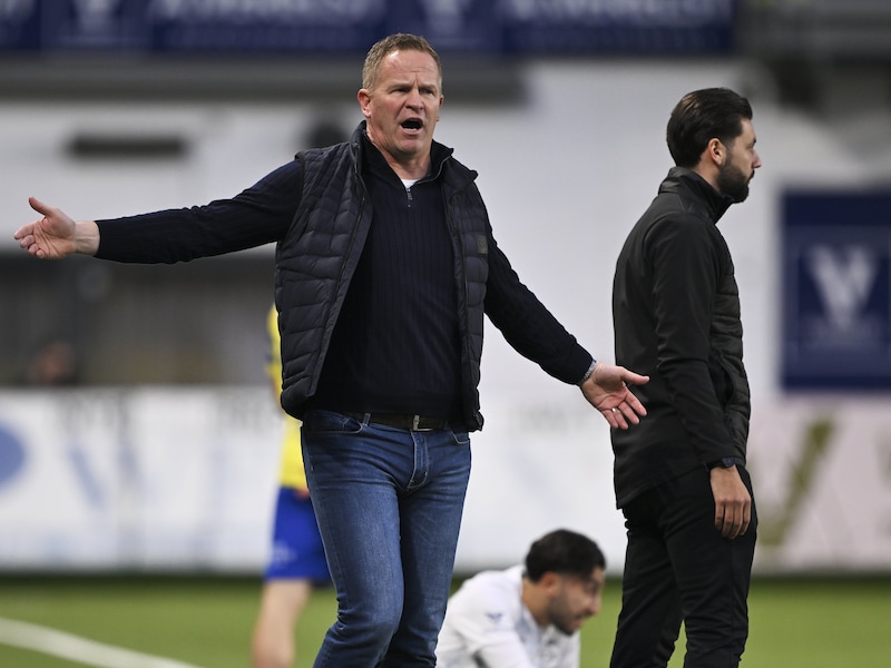 Een Franse traditieclub wilde hem deze winter al: waarom Wouter Vrancken nog niet bijtekende bij STVV