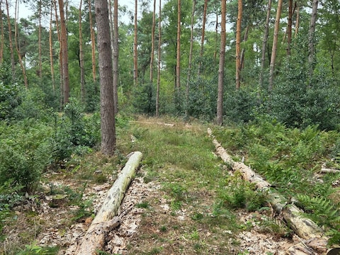 De natuurbegraafplaats zal achter de huidige begraafplaats komen op Wortel Kolonie.