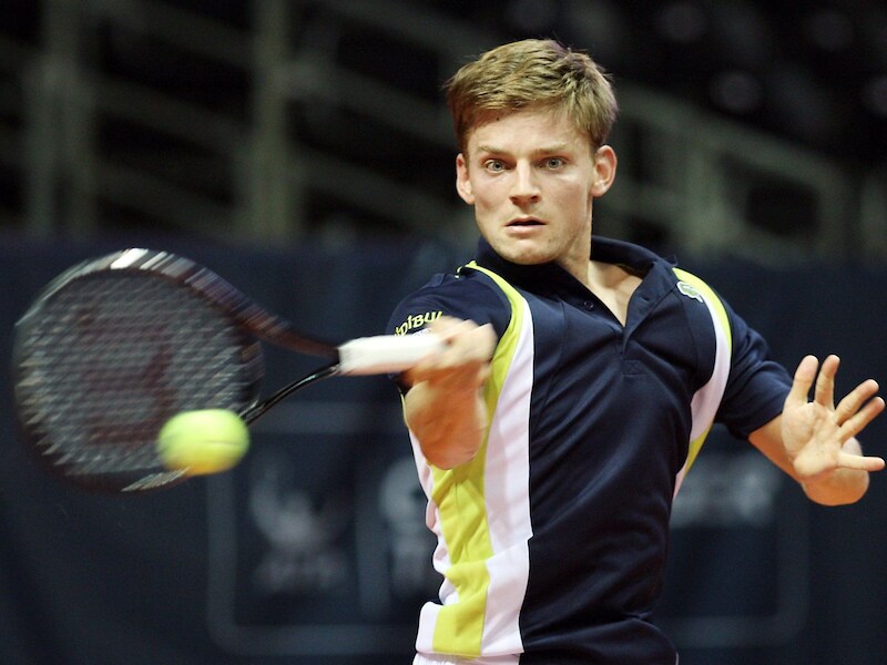 David Goffin