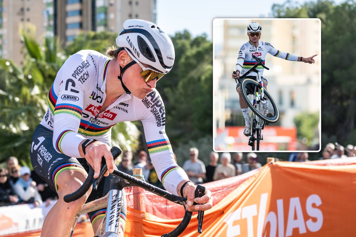 De beste veldrijder aller tijden? Hoe Mathieu van der Poel elke cross  alleen maar groter wordt, ook in de cijfers | Veldrijden | HLN.be