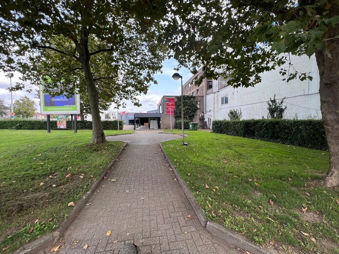 KIJK. Maasmechelen kampt met stevige rattenplaag: “Er staan vallen ...