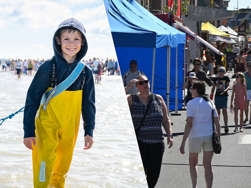 5 tips aan de kust deze woensdag: van garnalen vissen in Oostduinkerke tot avondmarkt in Blankenberge