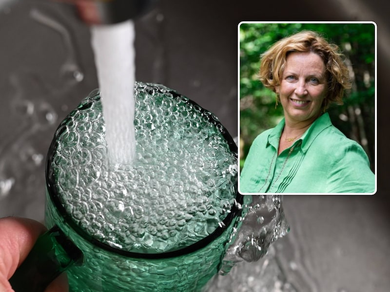 Vlaams fractieleider Mieke Schauvliege (Groen) waarschuwt dat PFAS-vervuiling de waterfactuur kan verhogen.