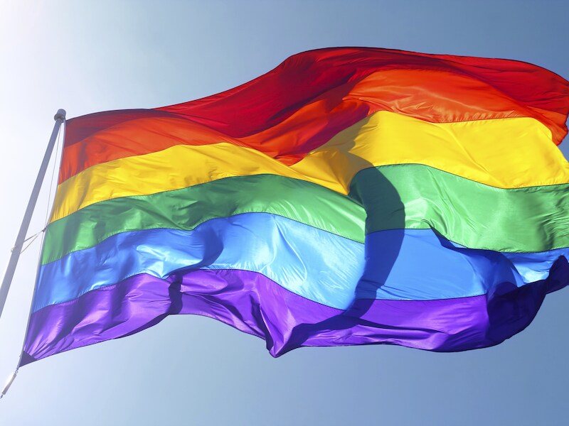 De regenboogvlag.