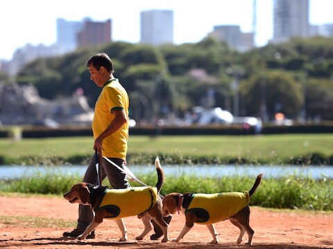 Toen Brazilië nog niet uitgeschakeld was op het WK: een man laat zijn twee honden buiten in het Ibirapuera Park in Sao Paulo.