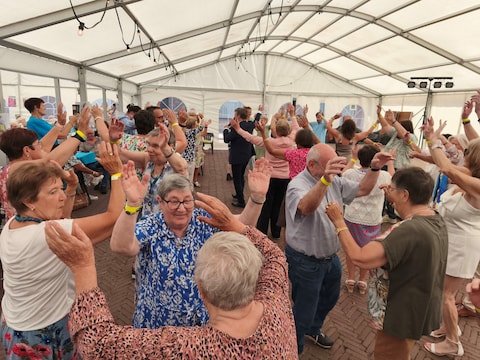 Een archiefbeeld van de Zonneheemse Feesten.