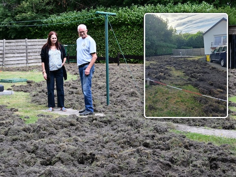 Ria en Rudi in hun omgeploegde tuin in Mol-Gompel. Inzet: Ook hun voortuin bleef niet gespaard