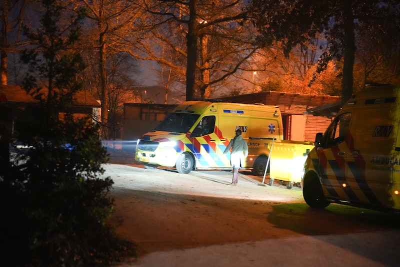 Una mujer se siente mal en las gradas durante una actuación de Efteling.