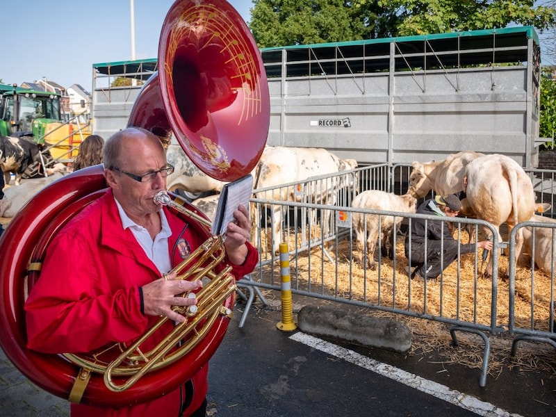 Drie dagen feest in Rumst: jaarmarkt pakt uit met braderij, kermis, rommelmarkt en kunst
