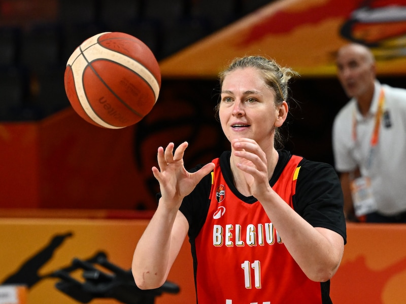 Belgian Cats volgen op wereldbeker? Club in Aalter zendt wedstrijden uit op groot scherm