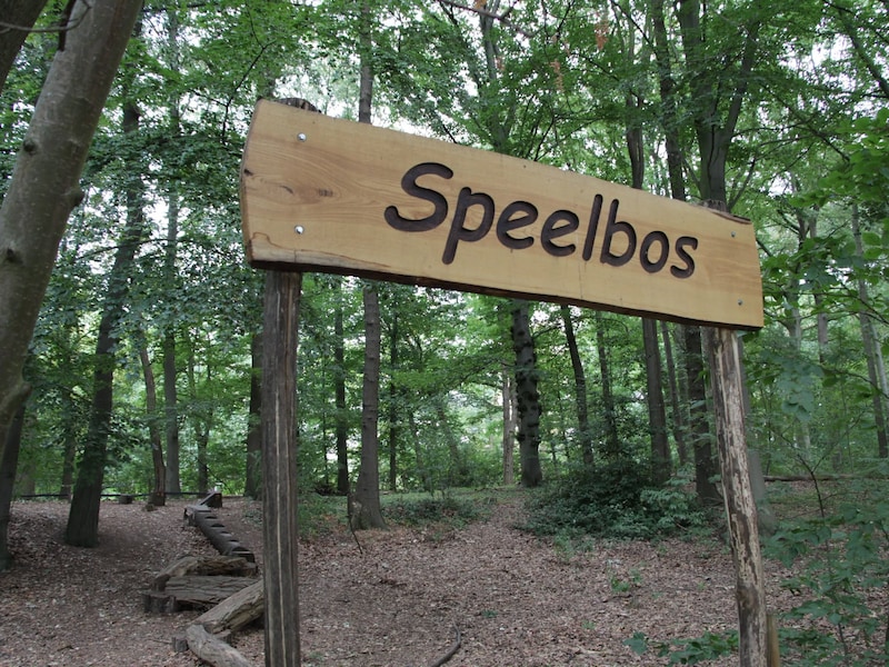 Het speelbos in het park. 