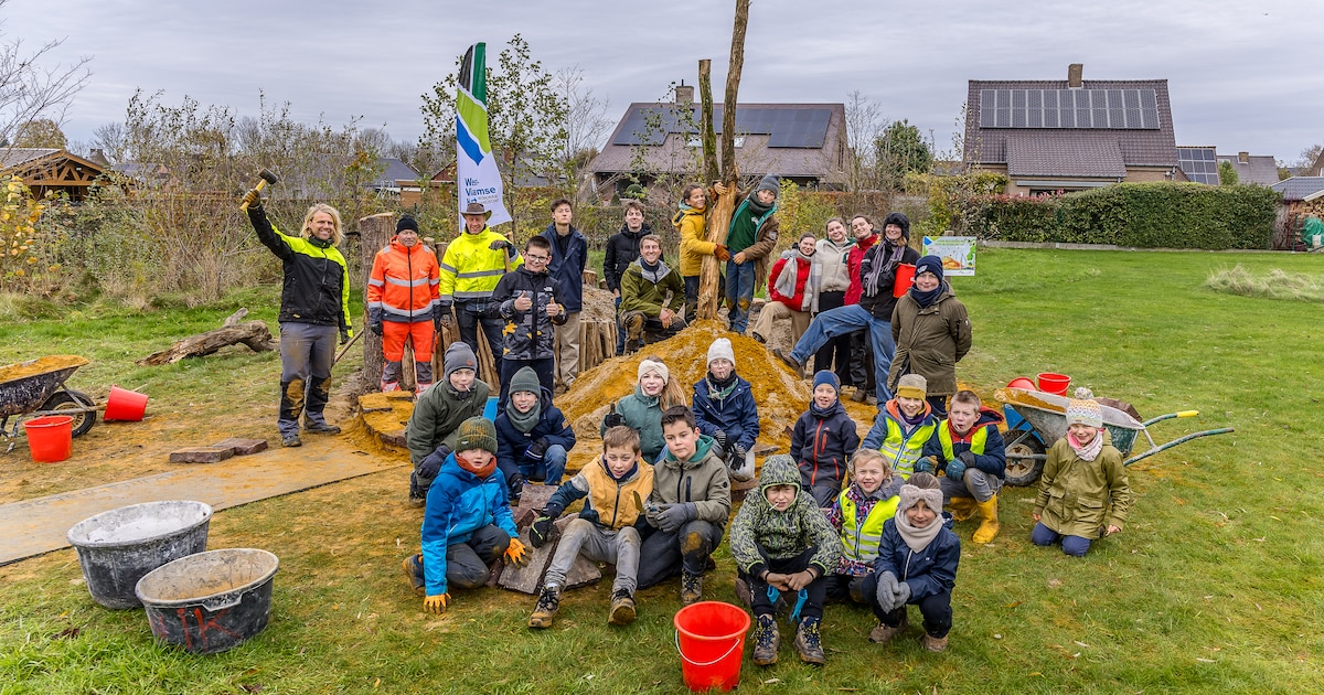 Kleine Torenvalk bouwt mee aan ‘bijenburcht’ in Tielt | Tielt | HLN.be