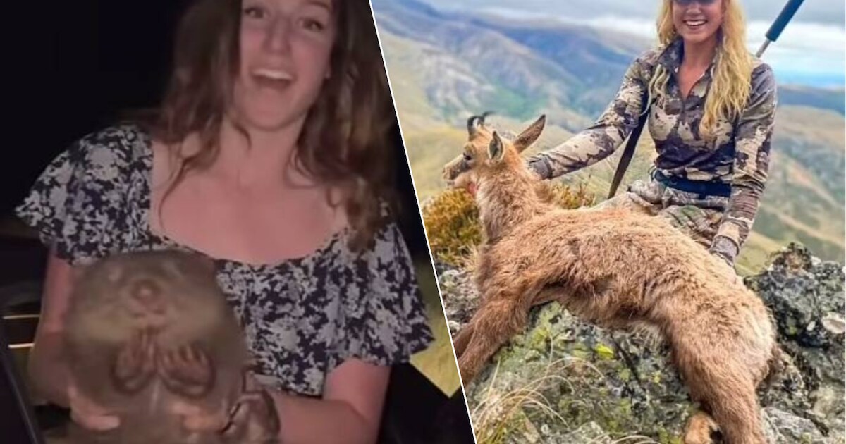 Influencer die bakken kritiek kreeg nadat ze baby wombat van haar ...