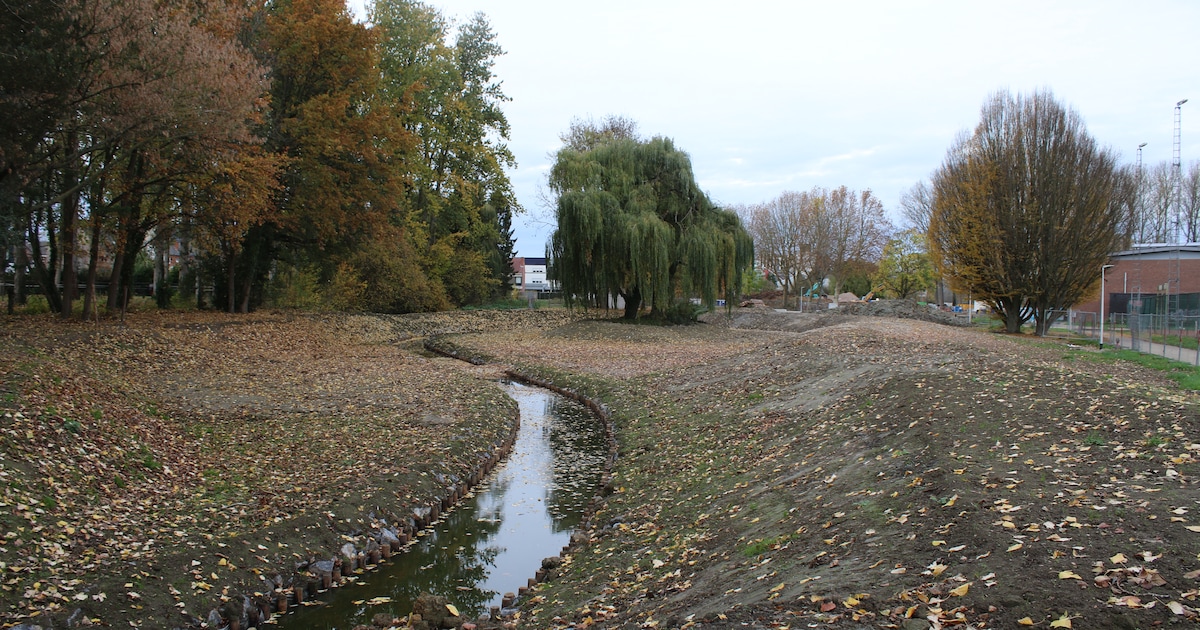 Gemeente Alken stapt naar voren als klimaatambassadeur: “Onze aanpak moet inspireren”