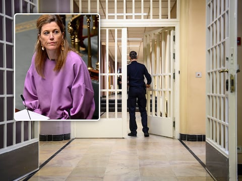 Inzet: Minister van Justitie Annelies Verlinden (CD&V)