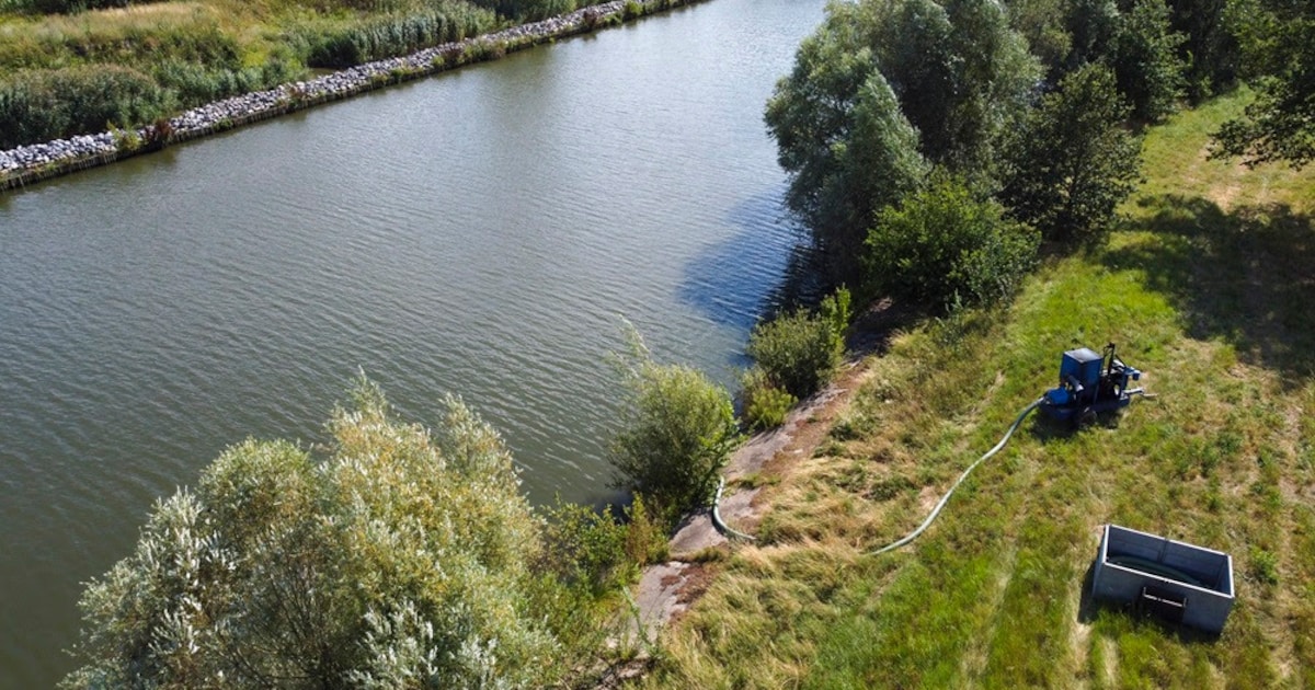 Waterpeilen staan weer hoog genoeg: tijdelijk onttrekkingsverbod in Limburg verdwijnt