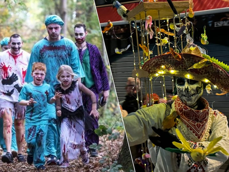 Van een Halloween Survival Run rond het For van Merksem tot Día de Muertos in Brussel: op en rond 31 oktober kan je overal in Vlaanderen Halloween beleven.