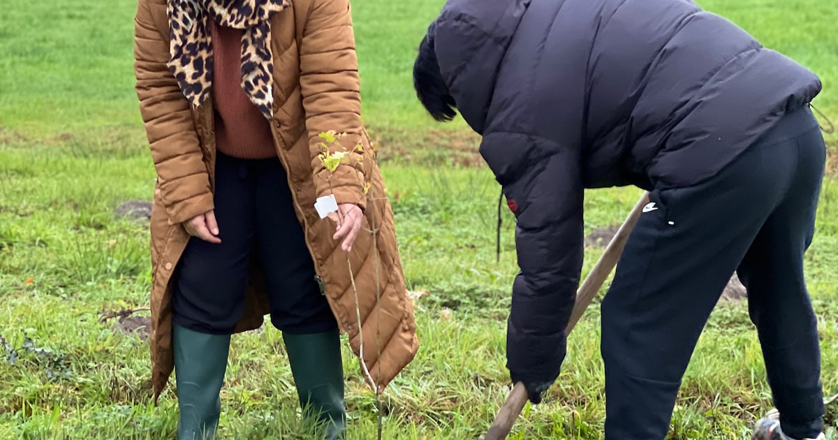Jarig krinloopcentrum Opnieuw & Co plant bos aan: “Willen iets teruggeven aan de samenleving”