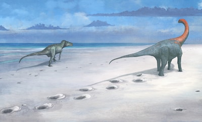 Onder de modder verborgen: paleontologen vinden ‘dinosauruss