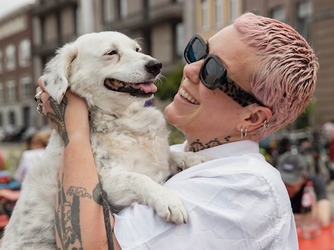 Hondenliefhebbers palmen WOLF in voor adoptie-event Hounds & Sounds