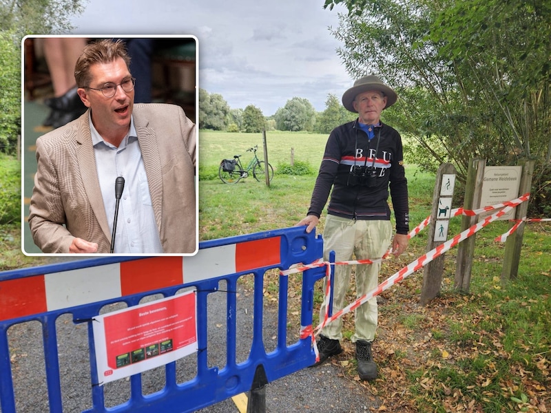 Wandel- en fietspad aan natuurgebied in Brugge afgesloten na meldingen van Aziatische hoornaars: “Veiligheid boven alles”