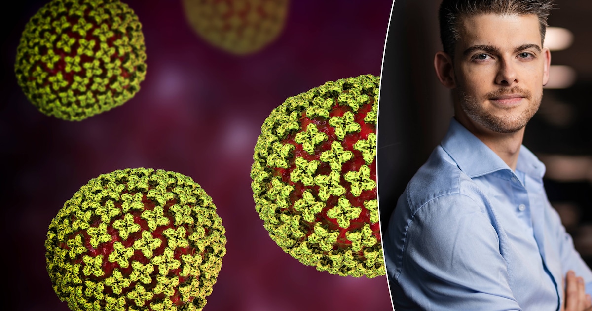 Dodelijk Krim-Congovirus in Franse dierenpopulatie vastgesteld: “1 op de 3 patiënten in het ziekenhu