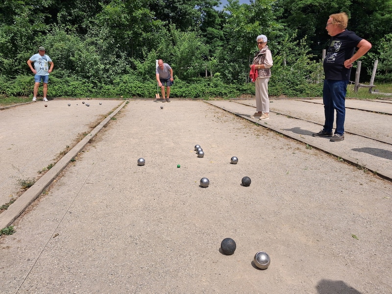 Petanquetoernooi in Mol: Rauwenaren strijden opnieuw om de winst tijdens de Hoffeesten
