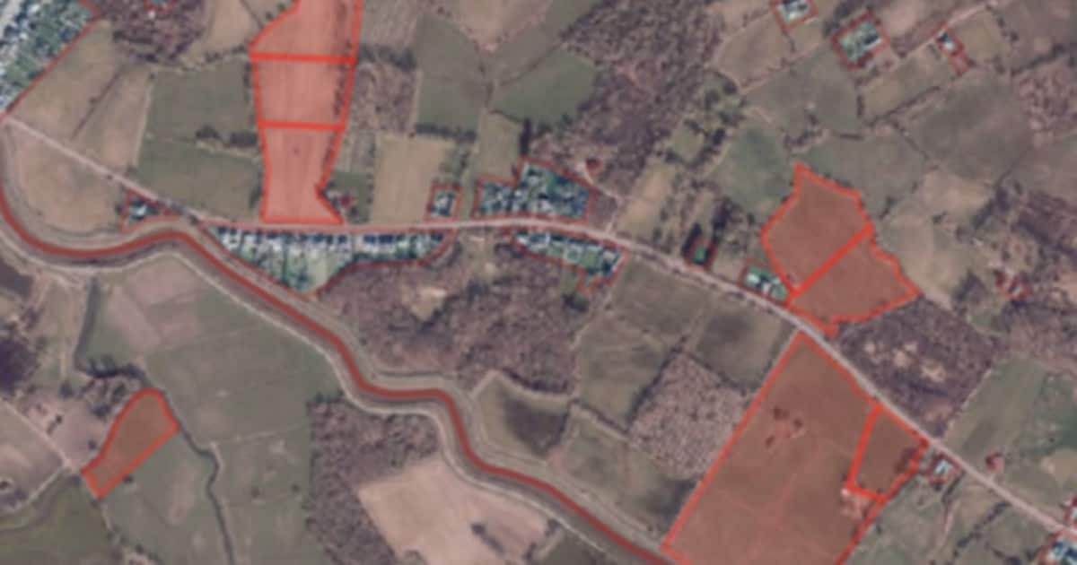 Meer ruimte voor water, bos en biodiversiteit: Natuurpunt breidt natuurgebied in Dijlevallei uit met