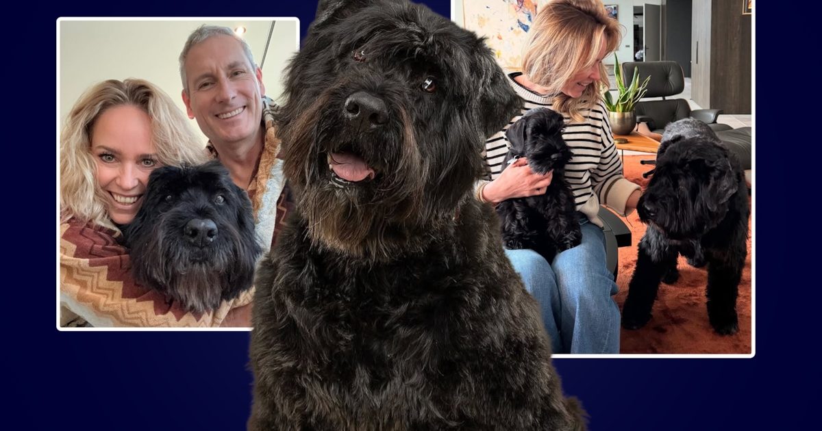 Ellen Callebout en Gert Verhulst nemen afscheid van hond Leo: “Dankbaar  voor je onvoorwaardelijke liefde” | BV | HLN.be