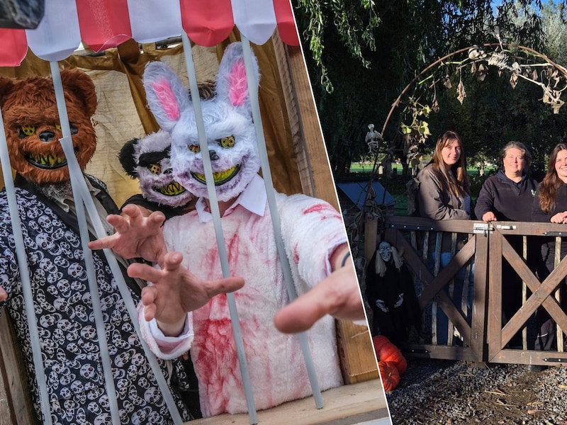 Jack's Nightmare, Halloween op de VABI-hoeve