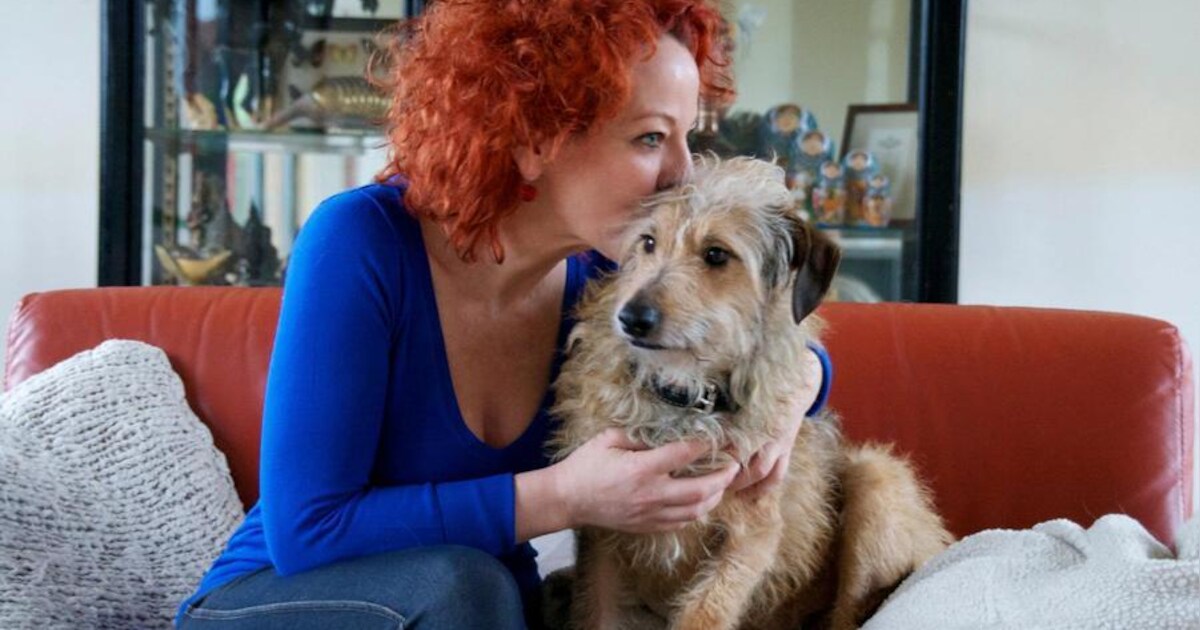 Gezocht: Els de Scheppers hond Elio | Celebrities | hln.be