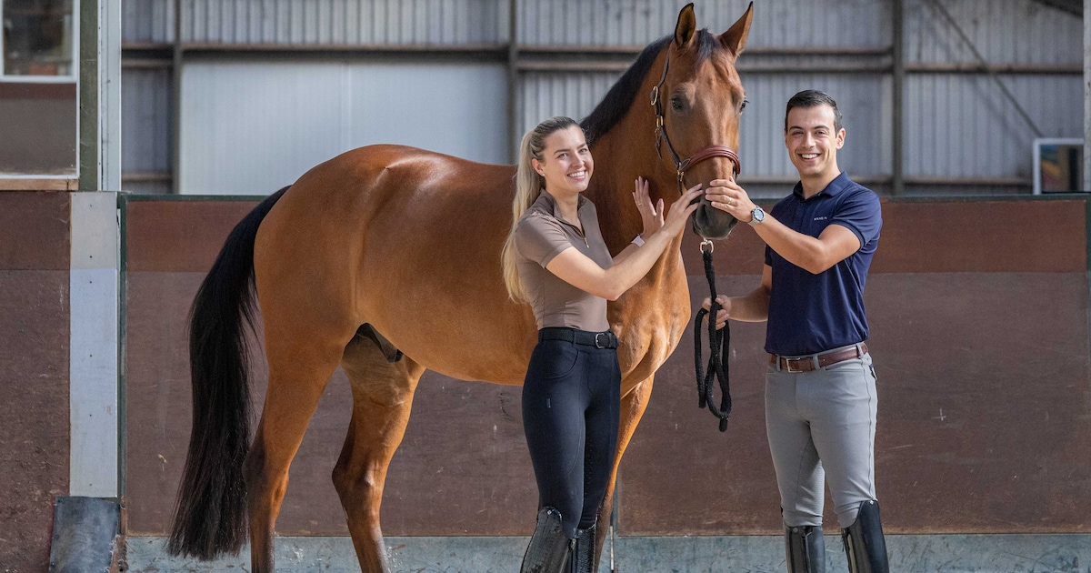 In Schore sloeg de vonk over tussen Julia en Spaanse Sergio, nu runt het echtpaar samen Stal Perfect